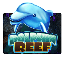 Dolphin Reef SLOTXO joker123 สมัคร Joker123
