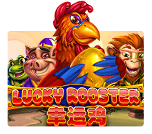 Lucky Rooster SLOTXO joker123 สมัคร Joker123