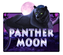 Panther Moon SLOTXO joker123 สมัคร Joker123