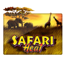 Safari Heat SLOTXO joker123 สมัคร Joker123