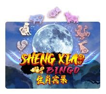 Sheng Xiao Bingo SLOTXO joker123 สมัคร Joker123