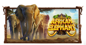 African Elephant Pramatic Play joker123 แจกโบนัส แจกเครดิตฟรี