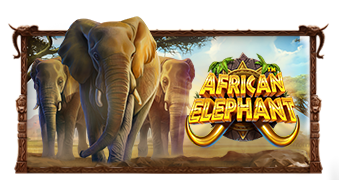 African Elephant  Pramatic Play joker123 แจกโบนัส แจกเครดิตฟรี