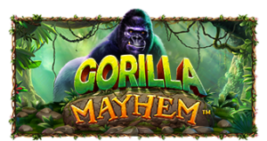 Gorilla Mayhem Pramatic Play joker123 แจกโบนัส แจกเครดิตฟรี