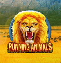 Running Animals CQ9 SLOT เว็บ Joker123 ใหม่